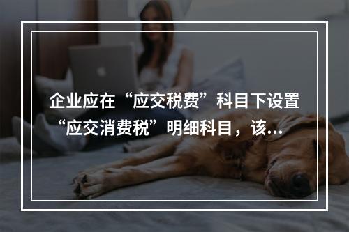 企业应在“应交税费”科目下设置“应交消费税”明细科目，该科目