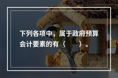 下列各项中，属于政府预算会计要素的有（　　）。