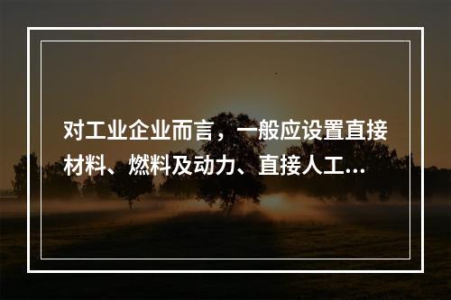 对工业企业而言，一般应设置直接材料、燃料及动力、直接人工、制