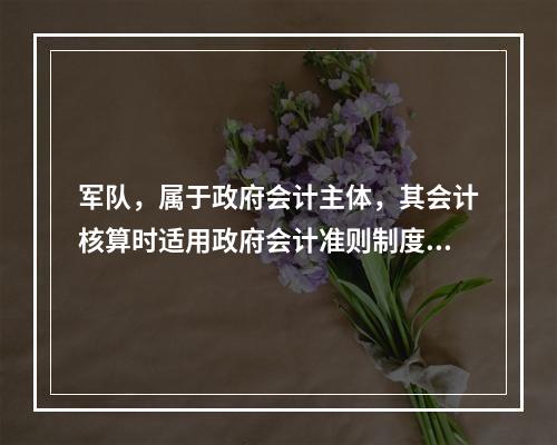 军队，属于政府会计主体，其会计核算时适用政府会计准则制度。（