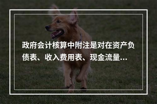 政府会计核算中附注是对在资产负债表、收入费用表、现金流量表等