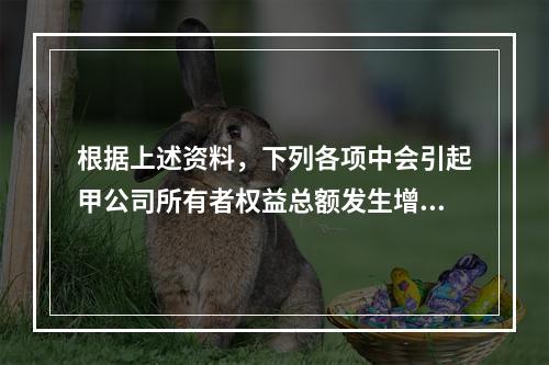 根据上述资料，下列各项中会引起甲公司所有者权益总额发生增减变