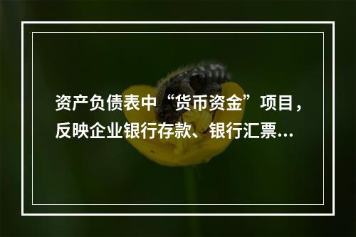 资产负债表中“货币资金”项目，反映企业银行存款、银行汇票存款