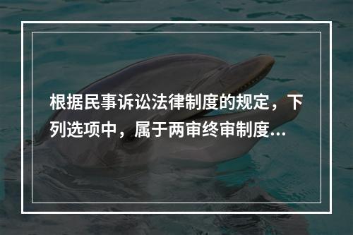 根据民事诉讼法律制度的规定，下列选项中，属于两审终审制度例外