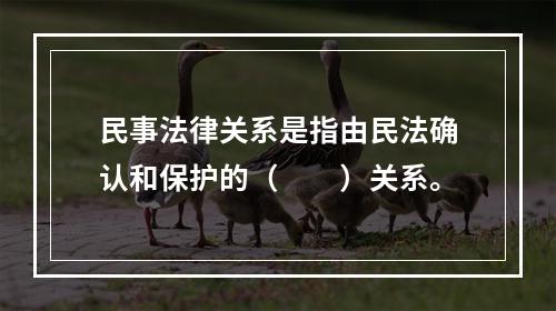 民事法律关系是指由民法确认和保护的（　　）关系。