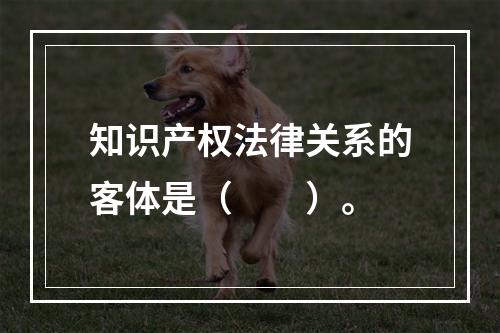 知识产权法律关系的客体是（　　）。