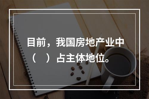 目前，我国房地产业中（　）占主体地位。