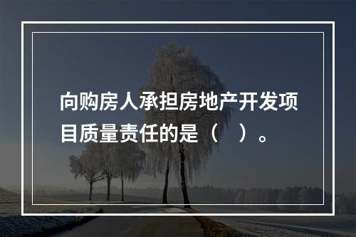 向购房人承担房地产开发项目质量责任的是（　）。