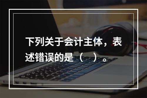 下列关于会计主体，表述错误的是（　）。