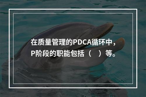 在质量管理的PDCA循环中，P阶段的职能包括（　）等。