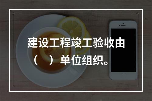 建设工程竣工验收由（　）单位组织。