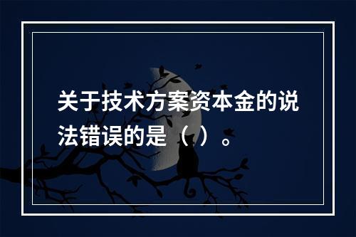 关于技术方案资本金的说法错误的是（  ）。