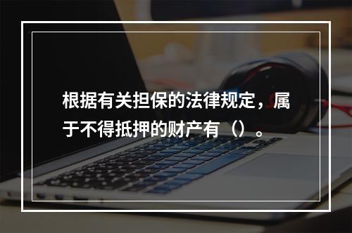 根据有关担保的法律规定，属于不得抵押的财产有（）。