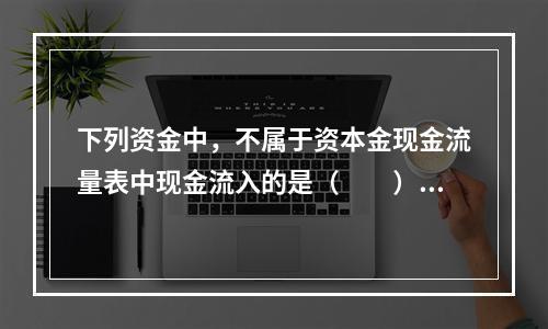 下列资金中，不属于资本金现金流量表中现金流入的是（　　）。