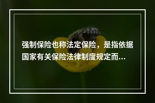 强制保险也称法定保险，是指依据国家有关保险法律制度规定而强