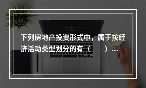 下列房地产投资形式中，属于按经济活动类型划分的有（　　）。