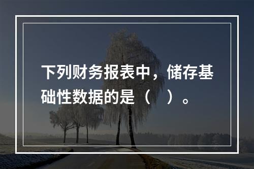 下列财务报表中，储存基础性数据的是（　）。