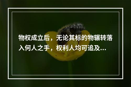 物权成立后，无论其标的物辗转落入何人之手，权利人均可追及标