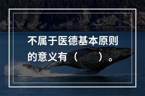 不属于医德基本原则的意义有（　　）。