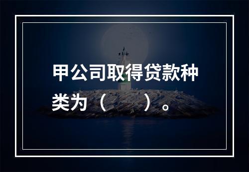 甲公司取得贷款种类为（　　）。