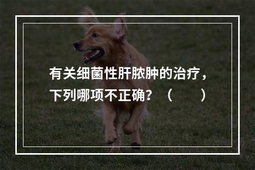 有关细菌性肝脓肿的治疗，下列哪项不正确？（　　）