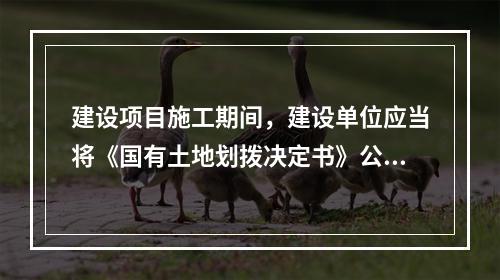 建设项目施工期间，建设单位应当将《国有土地划拨决定书》公示于