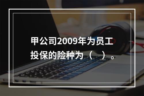 甲公司2009年为员工投保的险种为（　）。