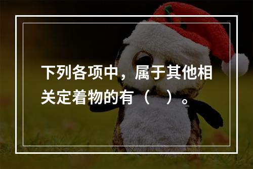 下列各项中，属于其他相关定着物的有（　）。