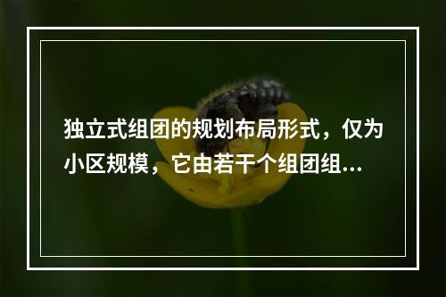 独立式组团的规划布局形式，仅为小区规模，它由若干个组团组成。