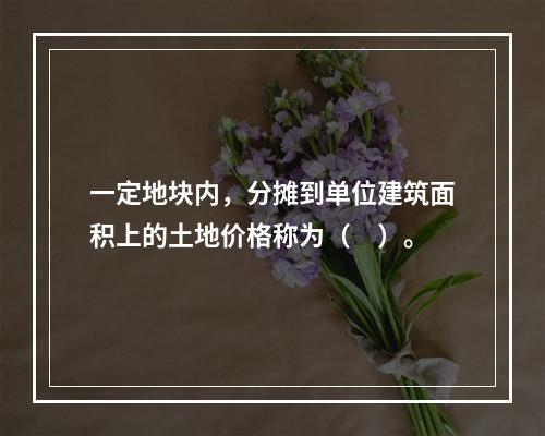 一定地块内，分摊到单位建筑面积上的土地价格称为（　）。