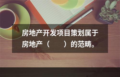 房地产开发项目策划属于房地产（　　）的范畴。