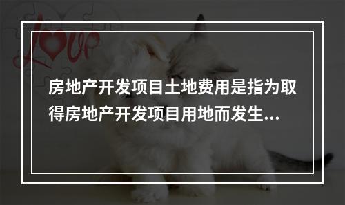 房地产开发项目土地费用是指为取得房地产开发项目用地而发生的