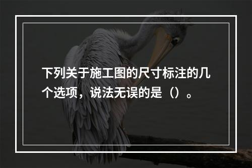 下列关于施工图的尺寸标注的几个选项，说法无误的是（）。