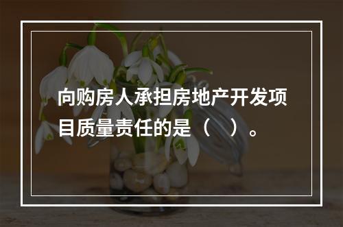 向购房人承担房地产开发项目质量责任的是（　）。