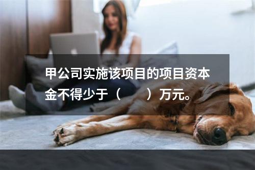 甲公司实施该项目的项目资本金不得少于（　　）万元。