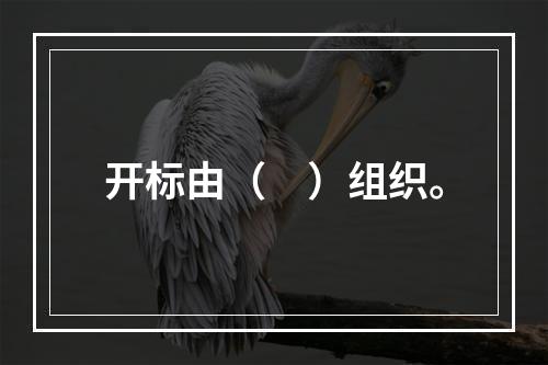 开标由（　）组织。