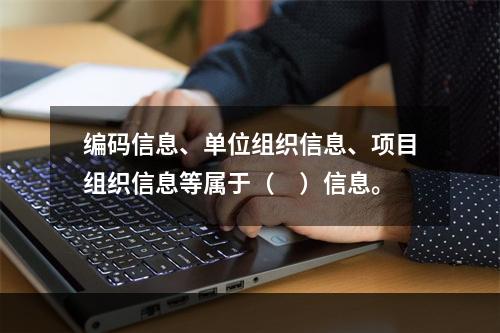 编码信息、单位组织信息、项目组织信息等属于（　）信息。