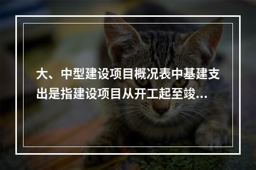 大、中型建设项目概况表中基建支出是指建设项目从开工起至竣工为