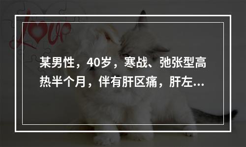 某男性，40岁，寒战、弛张型高热半个月，伴有肝区痛，肝左叶肿