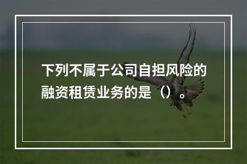 下列不属于公司自担风险的融资租赁业务的是（）。