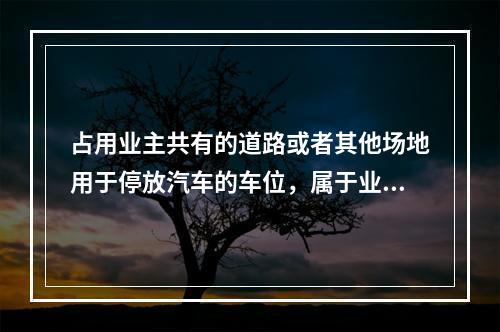 占用业主共有的道路或者其他场地用于停放汽车的车位，属于业主共