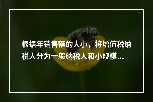 根据年销售额的大小，将增值税纳税人分为一般纳税人和小规模纳税