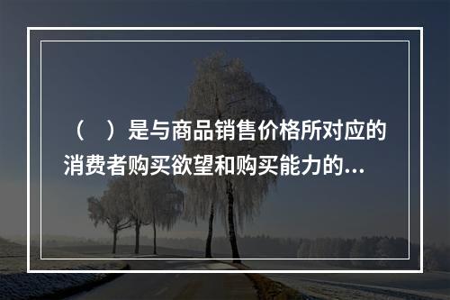 （　）是与商品销售价格所对应的消费者购买欲望和购买能力的统一