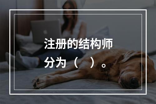 注册的结构师分为（　）。