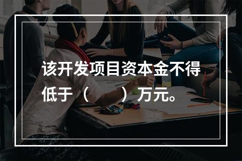 该开发项目资本金不得低于（　　）万元。