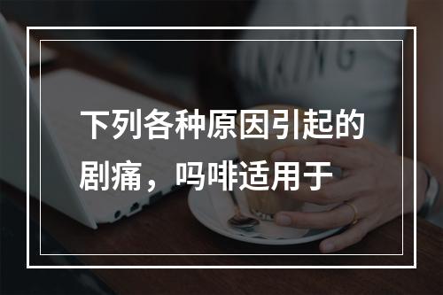 下列各种原因引起的剧痛，吗啡适用于