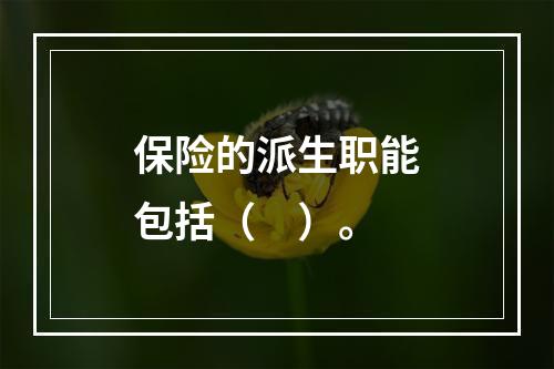 保险的派生职能包括（　）。