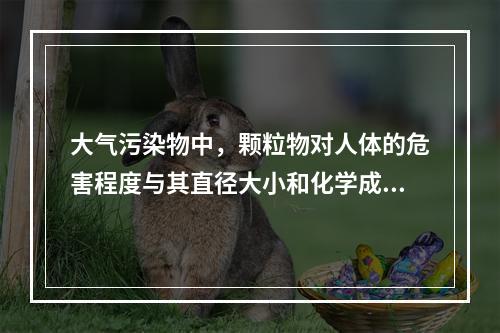 大气污染物中，颗粒物对人体的危害程度与其直径大小和化学成分有