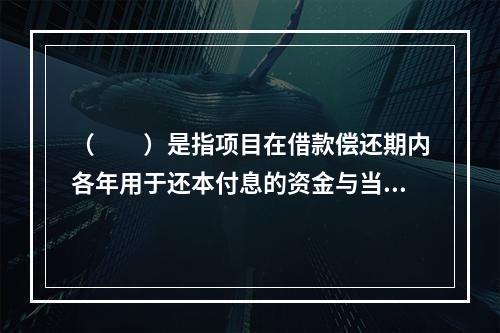 （　　）是指项目在借款偿还期内各年用于还本付息的资金与当期