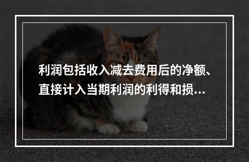 利润包括收入减去费用后的净额、直接计入当期利润的利得和损失